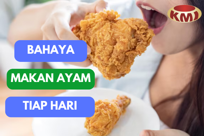 Bahaya! Dampak Konsumsi Daging Ayam Setiap Hari